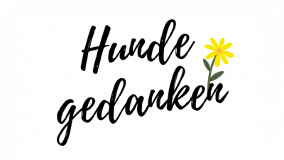 Hundegedanken #1: Das größte Problem: Wir Menschen verstehen das Verhalten unserer Hunde nicht