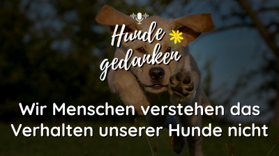 Hundegedanken #1: Das größte Problem: Wir Menschen verstehen das Verhalten unserer Hunde nicht