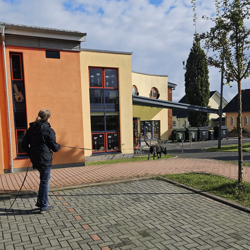 Mantrailing bei Kassel und Baunatal: Nasenarbeit für Hunde