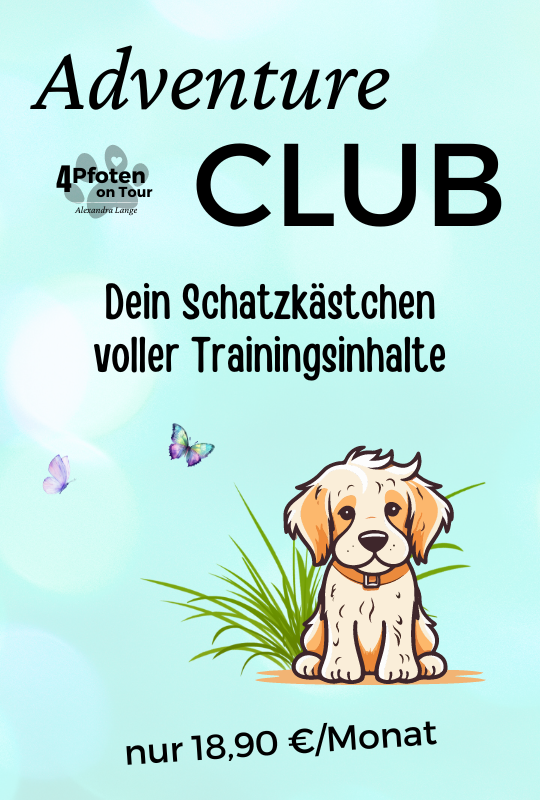 ADVENTURE CLUB - Dein Hundetraining-Club für Beziehung, Alltag, Training & Motivation