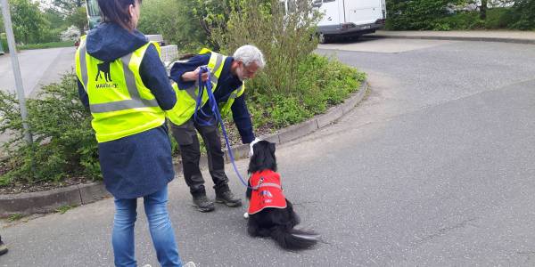 Mantrailing Kreis Kassel Mantrailing Kreis Kassel