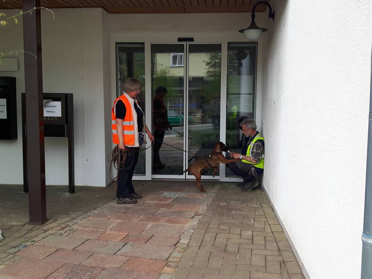 Mantrailing Workshop Espenau Vellmar Kassel