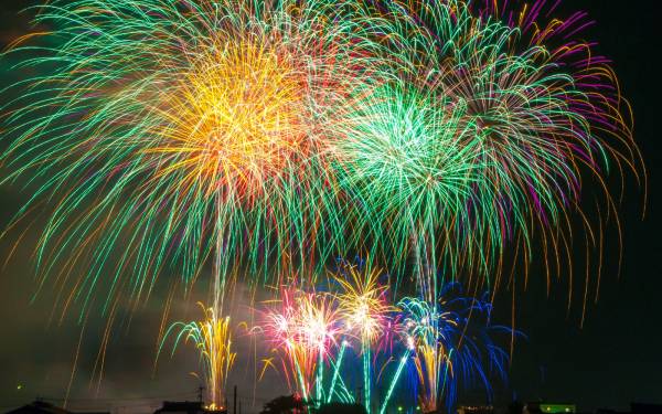 Silvesterangst - Geräuschangst bei Hunden