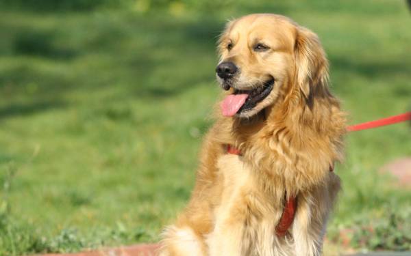 ANTIGIFTKÖDERTRAINING