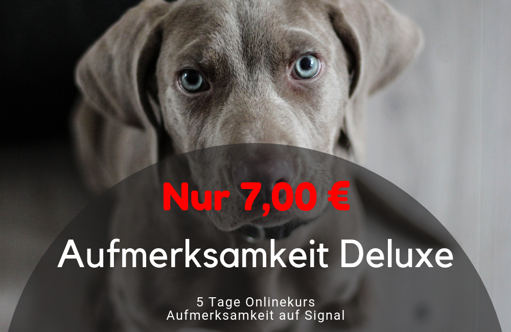 Aufmerksamkeit DELUXE