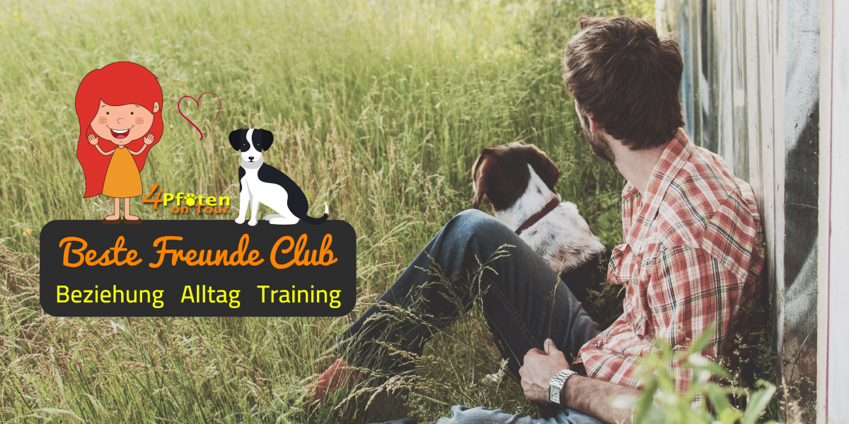 ESTE FREUNDE CLUB - Onlineprogramm für Dein Training