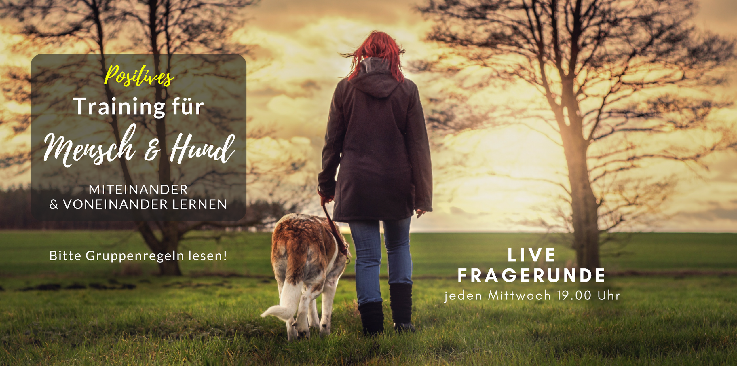 Hndetraining Gruppe Facebook