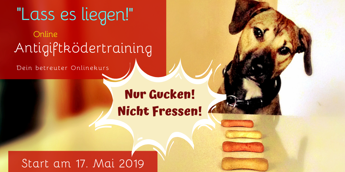 Antigiftköder Training Online