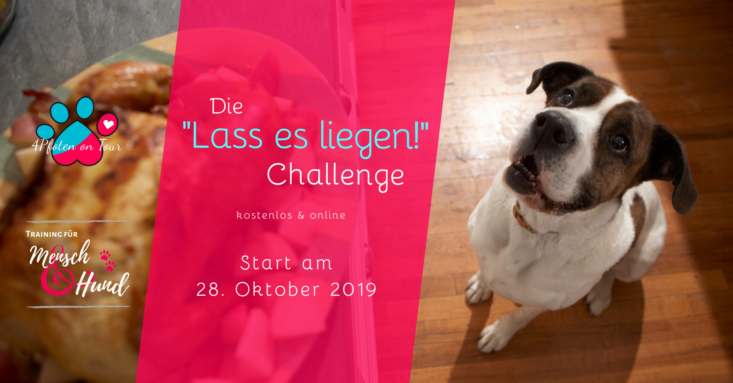 Lass es liegen Challenge - Antigiftködertraining