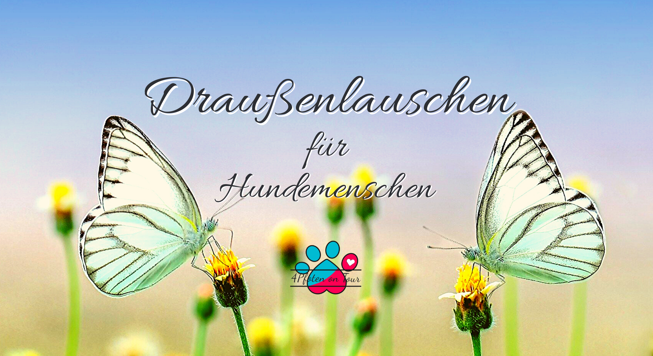 Draußenlauschen für Hundemenschen Draußenlauschen für Hundemenschen