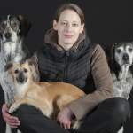 Katrin Heimsath - Webinar Konzeptlernen im Dogbetter Worlshop