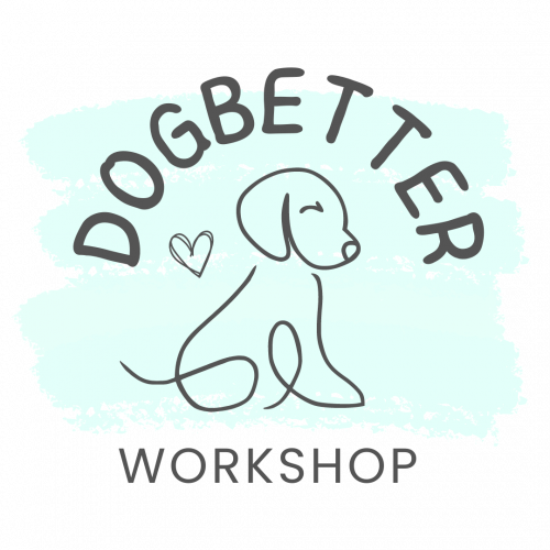 Dogbetter Workshop - Online Hundetrainig