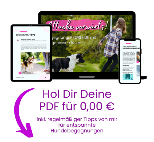 PDF Download Hundebegegnungen