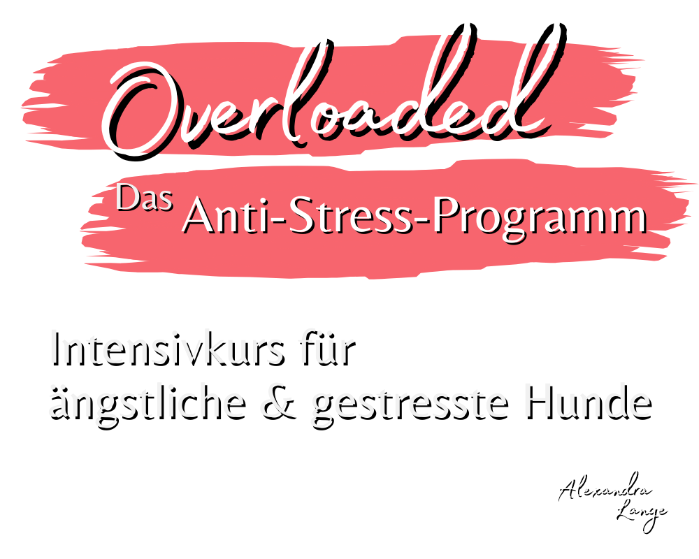 Overloaded - Anti-Stress-Programm für gestresste & ängstliche Hunde