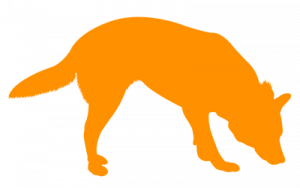 Mantrailing Personensuche Baunatal Kassel