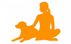 Einzelcoaching Einzelstunden Hundetraining Schauenburg Baunatal