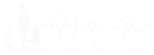 4Pfoten on Tour