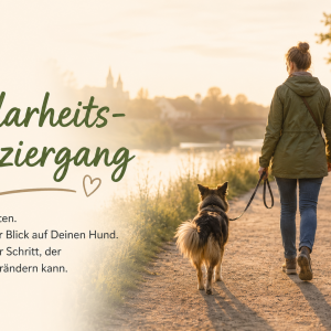 Klarheits-Spaziergang Hundetraining Einzeltraining Kassel Baunatal