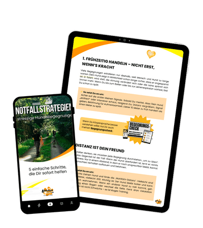 Strategien für stressige Hundebegegnungen-Notfallstrategien3 Strategien für stressige Hundebegegnungen