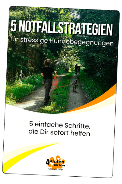 Training an Hundebegegnungen & Leinenaggression Training an Hundebegegnungen & Leinenaggression
