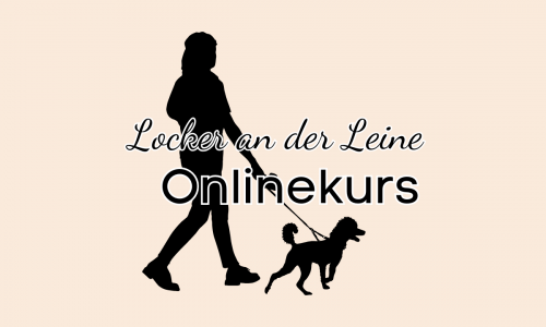 Kursvorschaubild