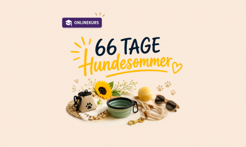 Kursvorschaubild
