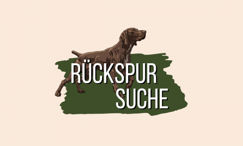 Kursvorschaubild