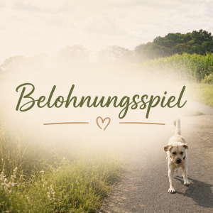 Belohnungsspiel – mehr Orientierung, mehr Entspannung und mehr Bewältigungsstrategien