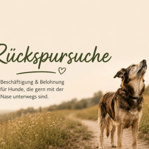 Verlorensuche auf der Rückspur - Rückspursuche - Beschäftigung & Belohnung für Hunde, die gern mit der Nase unterwegs sind