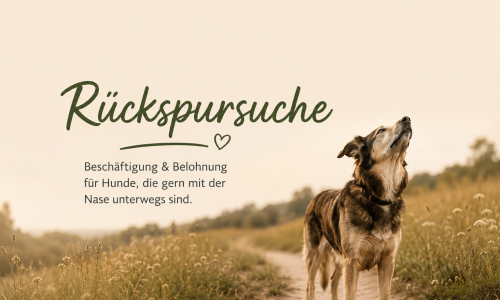 Kursvorschaubild