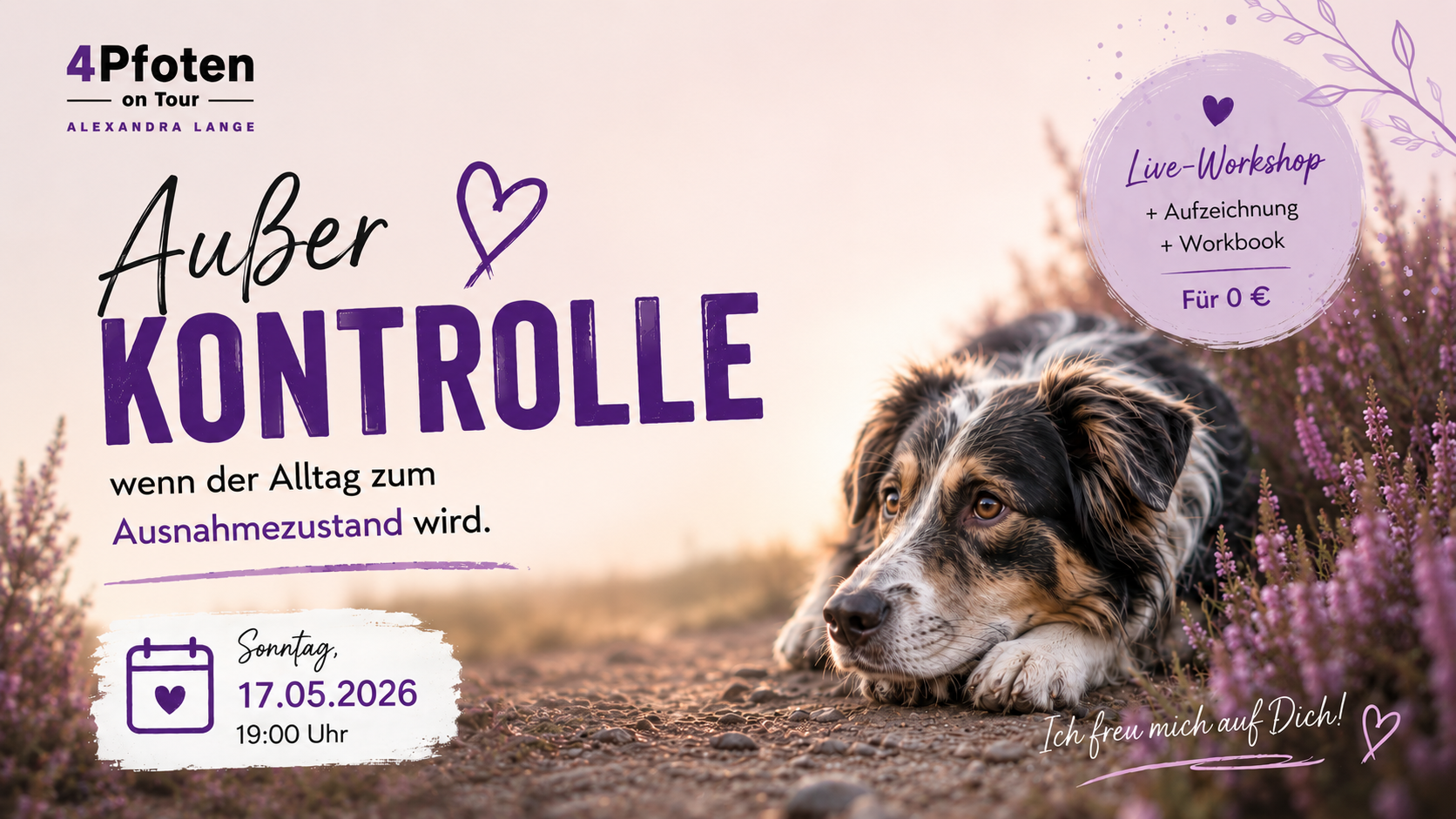 Außer Kontrolle - Live-Workshop für gestresste Hunde