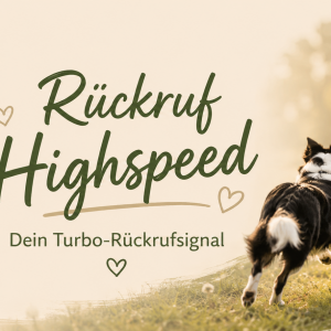 Rückruf Highspeed - Der Rückruf, den Dein Hund lieben wird