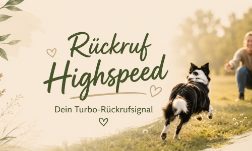 Kursvorschaubild