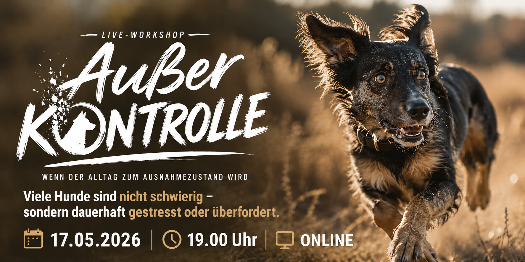 Außer Kontrolle - Live-Workshop für gestresste Hunde