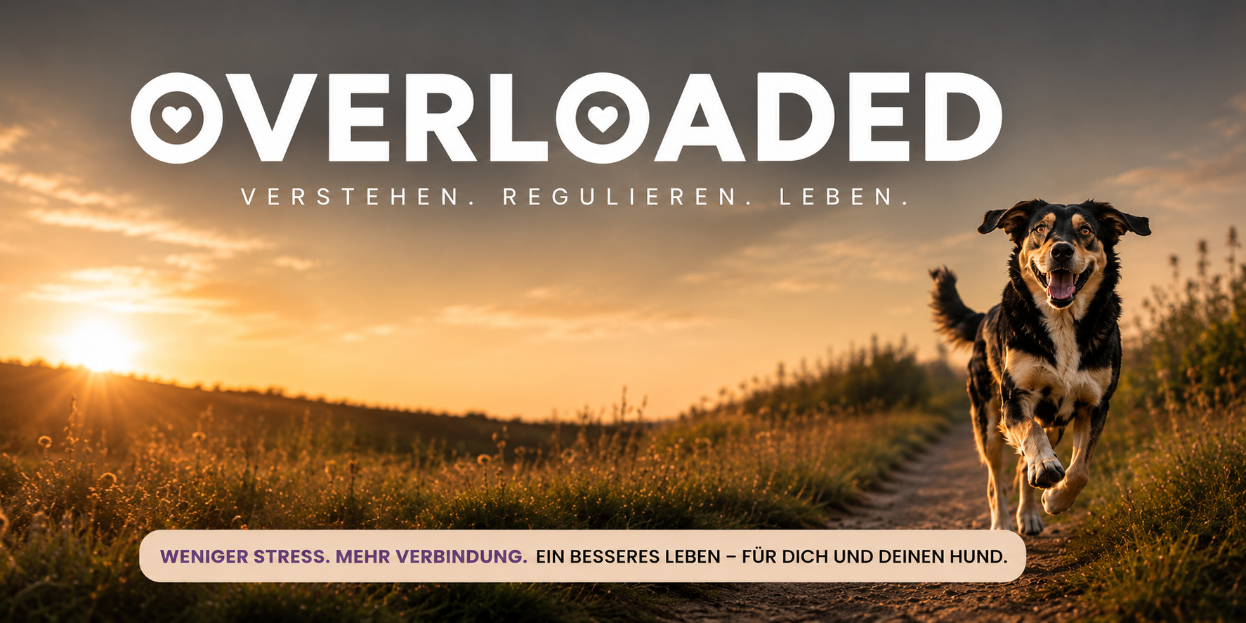 Overloaded - Für gestresste Hunde