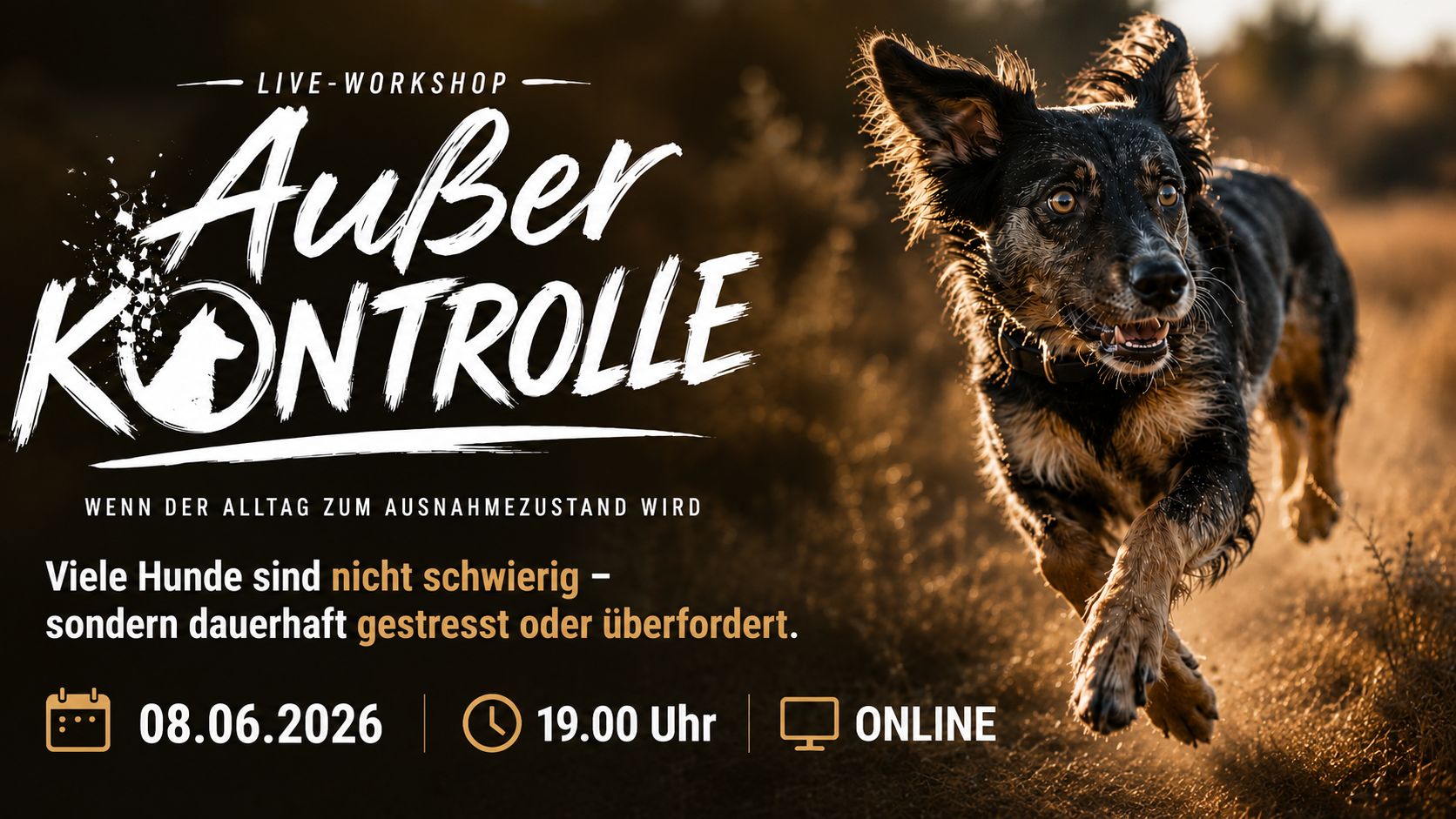 Außer Kontrolle - Live Workshop für gestresste Hunde Außer Kontrolle - Live Workshop für gestresste Hunde