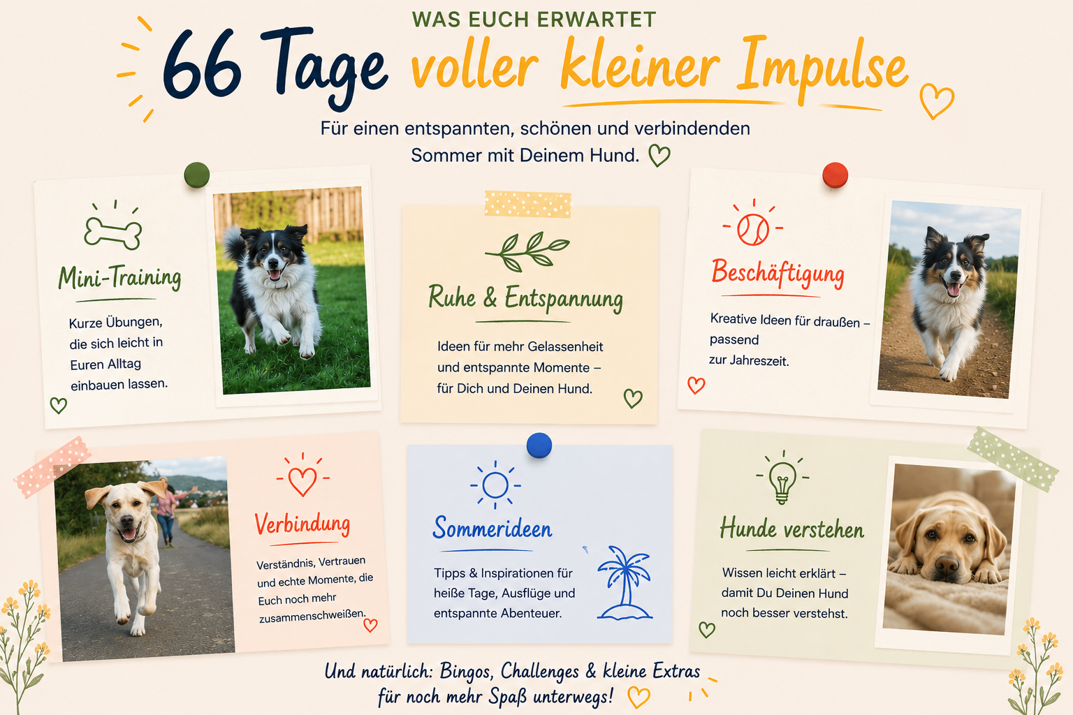 66 Tage Hundesommer mit 4Pfoten on Tour