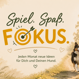 Spiel Spaß Fokus - Jeden Monat eine neue Idee