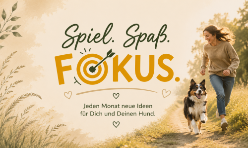 Kursvorschaubild