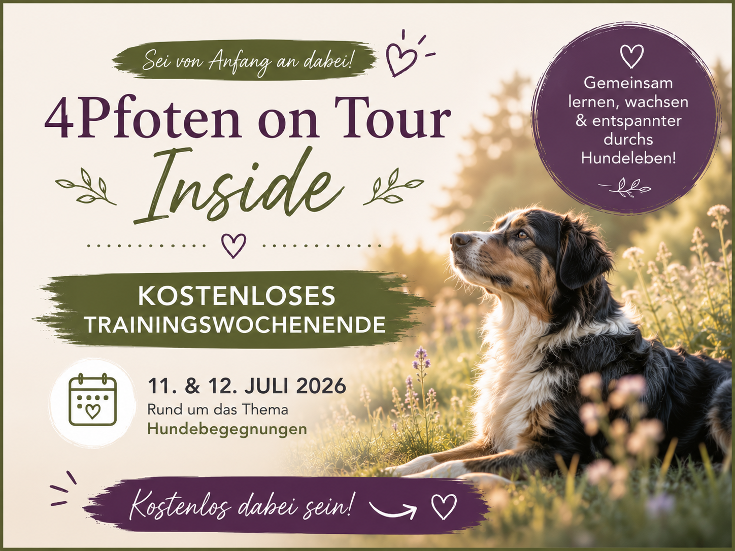 4Pfoten on Tour Inside - Trainingswochenende Hundebegegnugen