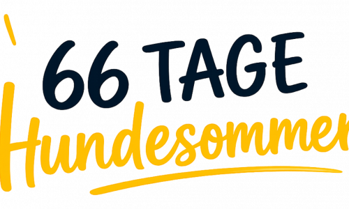 Kursvorschaubild