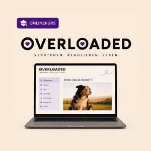 Overloaded - in 3 Raten