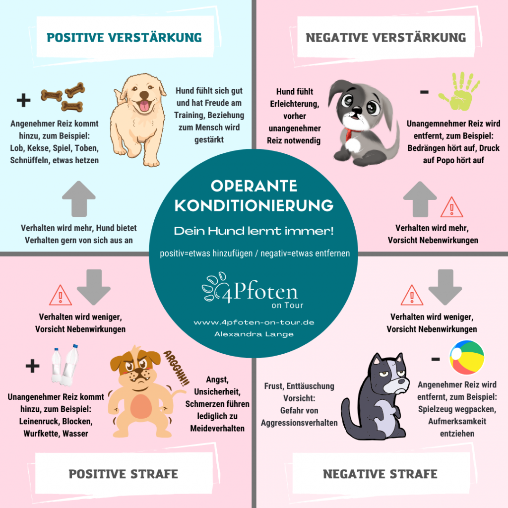 Operante Konditionierung Hundetraining