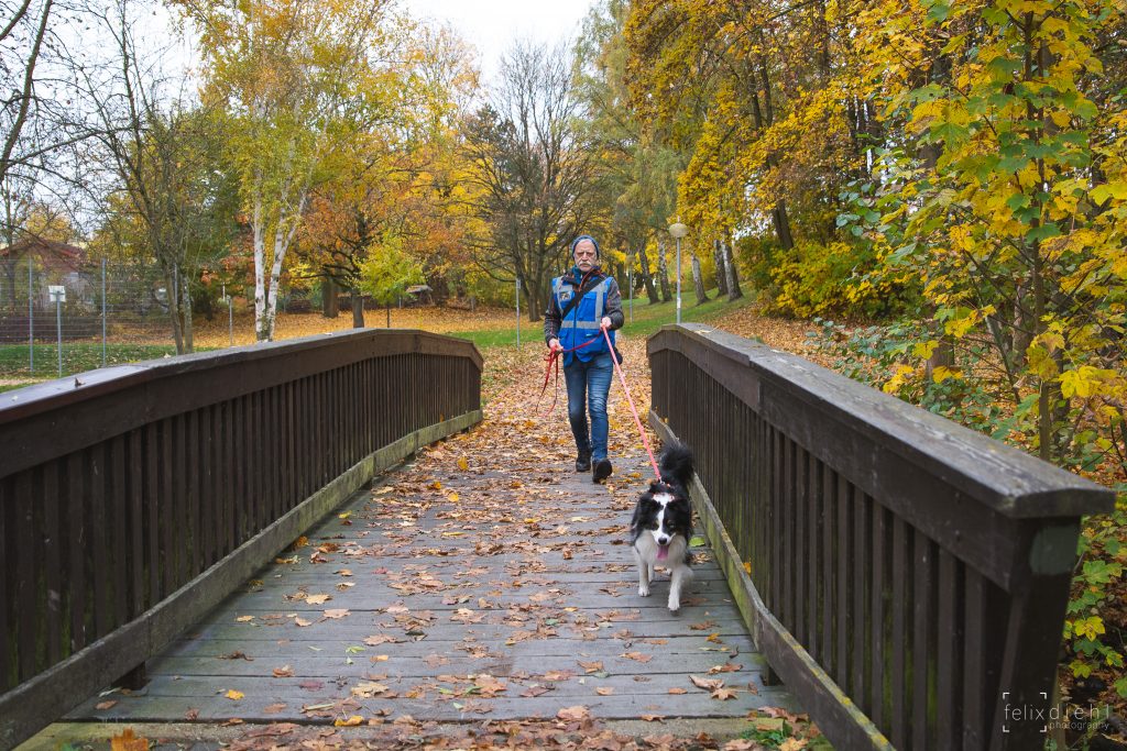 Mantrailing Baunatal Schauenburg Kassel Mantrailing Baunatal Schauenburg Kassel