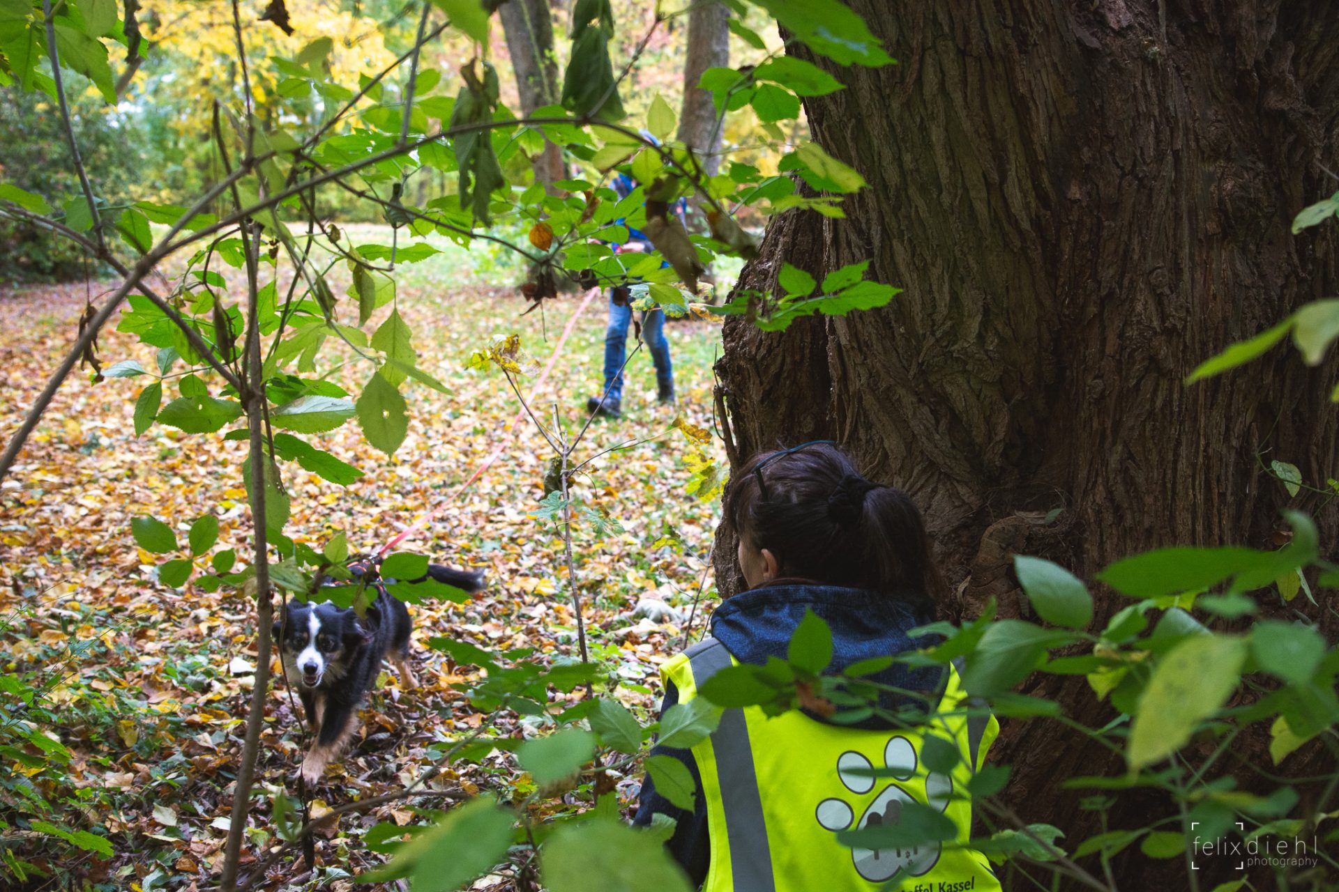 Mantrailing für alle Hunde in Baunatal Mantrailing für alle Hunde in Baunatal