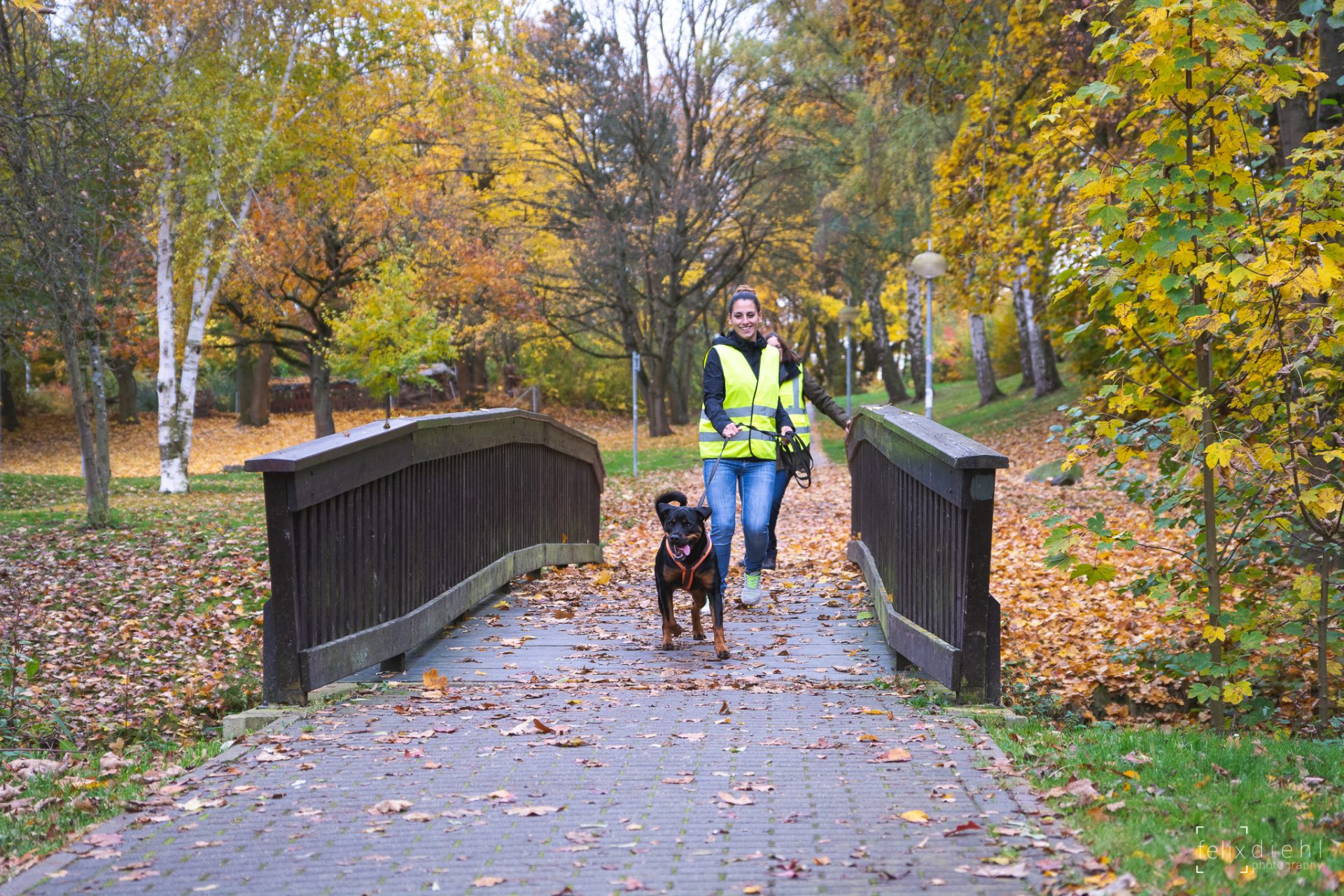 Mantrailing-Kurs für Anfänger und Fortgeschrittene Mantrailing-Kurs für Anfänger und Fortgeschrittene