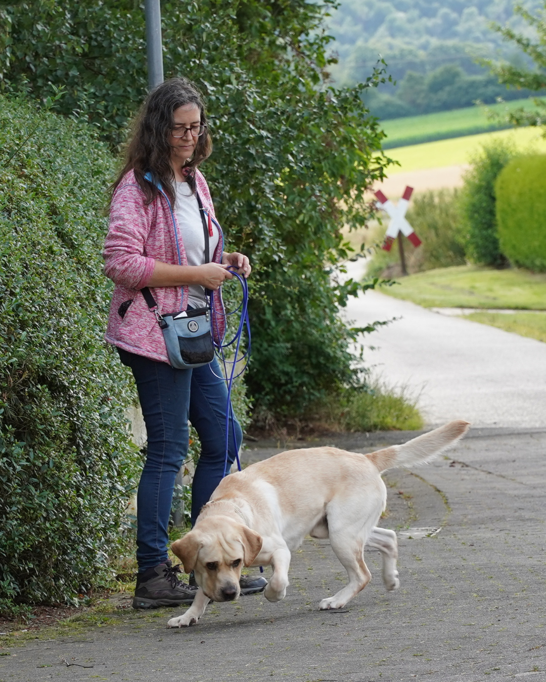 Alexandra Lange - 4Pfoten on Tour - Dogbetter Challenge Hundetraining