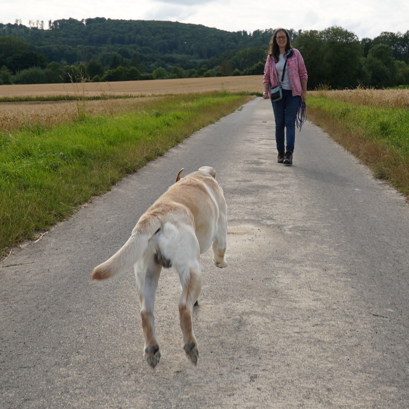 Nervensystem Hund stärken