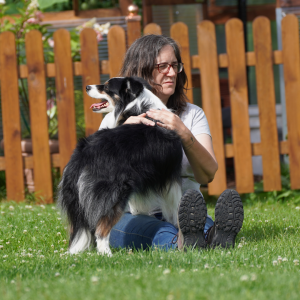 Alexandra Lange - Australian Shepherd Alexandra Lange - Australian Shepherd