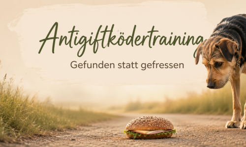 Kursvorschaubild